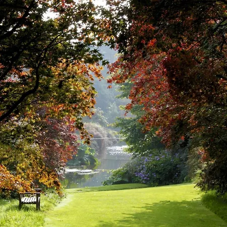 Village No 6 By Trident Homes